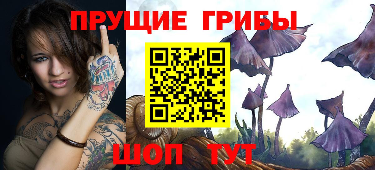 Петропавловск-Камчатский  Галлюциногенные грибы мицелий  Вход с VPN 